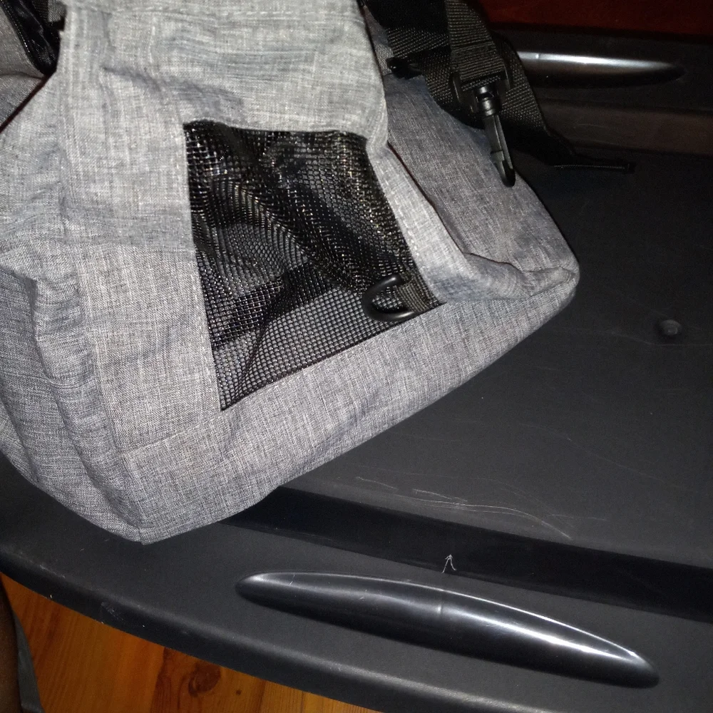 Small pet carrier